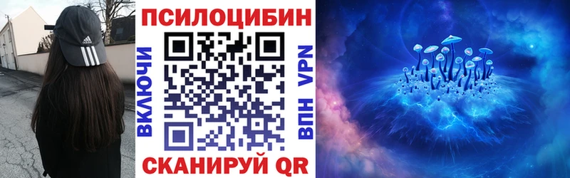 Купить  Ахтырский  Галлюциногенные грибы MAGIC MUSHROOMS 